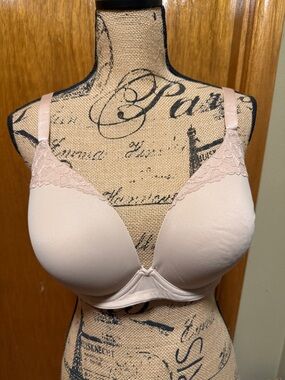 Plunge T-Shirt Bra with Lace Trim in Blush